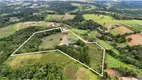 Foto 4 de Fazenda/Sítio com 3 Quartos à venda, 20000m² em Centro, Piedade