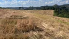 Foto 11 de Fazenda/Sítio com 2 Quartos à venda, 1016400m² em Zona Rural, Rio Negrinho