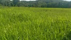 Foto 11 de Fazenda/Sítio com 2 Quartos à venda, 1333000m² em Area Rural de Brazlandia, Brasília