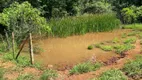 Foto 16 de Fazenda/Sítio com 2 Quartos à venda, 96800m² em Zona Rural, Bonfinópolis