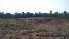 Foto 2 de Lote/Terreno à venda, 60000m² em , Presidente Lucena