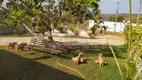 Foto 19 de Fazenda/Sítio com 3 Quartos à venda, 5000000m² em Zona Rural, Corumbá de Goiás