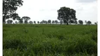 Foto 19 de Fazenda/Sítio com 3 Quartos à venda, 85m² em Zona Rural, São Félix do Araguaia