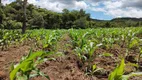 Foto 13 de Fazenda/Sítio com 4 Quartos à venda, 1282600m² em Zona Rural, Rio Quente