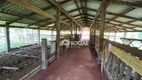Foto 11 de Fazenda/Sítio com 2 Quartos à venda, 83200m² em Três Marias, Porto Velho