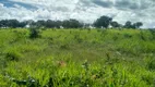 Foto 41 de Fazenda/Sítio com 3 Quartos à venda, 70m² em Zona Rural, João Pinheiro