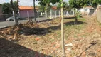 Foto 8 de Lote/Terreno para alugar, 300m² em Vila Independência, Piracicaba