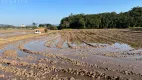 Foto 4 de Galpão/Depósito/Armazém à venda, 79000m² em Margem Esquerda, Gaspar