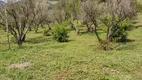 Foto 15 de Fazenda/Sítio com 3 Quartos à venda, 13000m² em Zona Rural, Piranguçu