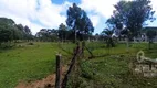 Foto 22 de Fazenda/Sítio com 4 Quartos à venda, 130m² em Cotia, São José dos Pinhais