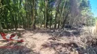 Foto 7 de Fazenda/Sítio com 1 Quarto à venda, 22000m² em Campestre da Faxina, São José dos Pinhais