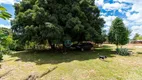 Foto 2 de Fazenda/Sítio com 5 Quartos à venda, 300m² em Jardim Esmeralda, Pirenópolis