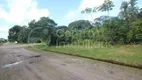 Foto 12 de Lote/Terreno à venda, 350m² em Jardim Sao Luiz , Peruíbe