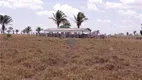 Foto 2 de Fazenda/Sítio com 2 Quartos à venda, 1500400m² em Zona Rural, São Geraldo do Araguaia