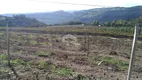 Foto 3 de Fazenda/Sítio com 2 Quartos à venda, 110000m² em Sao Valentin, Bento Gonçalves