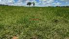 Foto 16 de Fazenda/Sítio com 3 Quartos à venda, 200m² em , Piracanjuba