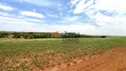 Foto 5 de Fazenda/Sítio à venda, 121000m² em Zona Rural, Mandaguaçu