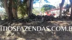 Foto 92 de Fazenda/Sítio com 10 Quartos à venda, 2000m² em Zona Rural, São Sebastião da Grama