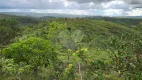 Foto 26 de Fazenda/Sítio à venda, 20000m² em Centro, Corumbá de Goiás