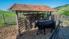Foto 43 de Fazenda/Sítio com 12 Quartos à venda, 54000000m² em Centro, Paraíba do Sul