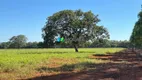 Foto 43 de Fazenda/Sítio com 1 Quarto à venda, 63m² em Zona Rural, Paraopeba