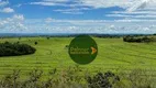 Foto 9 de Fazenda/Sítio à venda, 5420800m² em , Palestina de Goiás