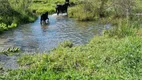 Foto 11 de Fazenda/Sítio com 3 Quartos à venda, 43000000m² em Centro, Perdizes