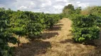 Foto 18 de Fazenda/Sítio com 8 Quartos à venda, 86000m² em Zona Rural, Monte Santo de Minas