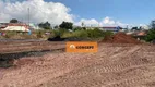 Foto 6 de Lote/Terreno para alugar, 18000m² em Cidade Boa Vista, Suzano