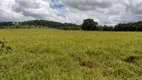 Foto 24 de Fazenda/Sítio com 3 Quartos à venda, 91960m² em Zona Rural, Santo Antônio da Alegria