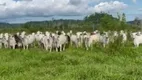 Foto 2 de Fazenda/Sítio com 4 Quartos à venda, 250m² em Zona Rural, Registro