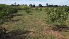 Foto 13 de Fazenda/Sítio com 2 Quartos à venda, 12m² em Zona Rural, Poconé