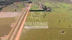 Foto 3 de Fazenda/Sítio à venda, 48400000m² em Zona Rural, Formosa