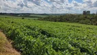 Foto 10 de Fazenda/Sítio com 2 Quartos à venda, 60m² em Zona Rural, São Miguel Arcanjo