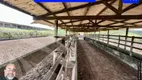 Foto 16 de Fazenda/Sítio com 4 Quartos à venda, 2650000m² em Alto Jose Leal, Vitória de Santo Antão