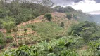 Foto 20 de Fazenda/Sítio com 3 Quartos à venda, 250000m² em , Marechal Floriano