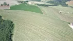 Foto 9 de Fazenda/Sítio com 10 Quartos à venda, 2000m² em Zona Rural, Perdizes