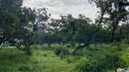 Foto 3 de Fazenda/Sítio à venda em Setor Central, Bonfinópolis