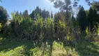 Foto 4 de Fazenda/Sítio com 3 Quartos à venda, 4000m² em Centro, Cambé