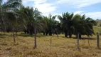 Foto 8 de Fazenda/Sítio com 3 Quartos à venda, 550m² em Zona Rural , Morrinhos