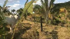 Foto 16 de Fazenda/Sítio com 4 Quartos à venda, 2070000m² em , Água Fria de Goiás