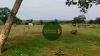 Foto 2 de Fazenda/Sítio à venda, 4694800m² em Zona Rural, Bom Jardim de Goiás