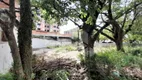 Foto 3 de Lote/Terreno para alugar, 350m² em Passo da Areia, Porto Alegre