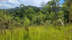 Foto 12 de Lote/Terreno à venda, 20000m² em Zona Rural, Senador Amaral