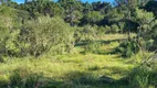 Foto 7 de Lote/Terreno à venda, 18000m² em Zona Rural, Urupema