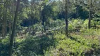 Foto 7 de Fazenda/Sítio à venda, 20000m² em Tapera, Gramado