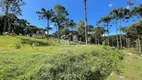 Foto 18 de Fazenda/Sítio com 4 Quartos à venda, 200m² em Timbu Velho, Campina Grande do Sul