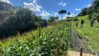 Foto 43 de Fazenda/Sítio com 3 Quartos à venda, 27000m² em , Balsa Nova