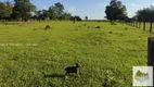 Foto 2 de Lote/Terreno à venda, 2500m² em Centro, Cesário Lange