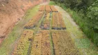 Foto 5 de Fazenda/Sítio com 4 Quartos à venda, 330000m² em Vargem Grande, Duas Barras